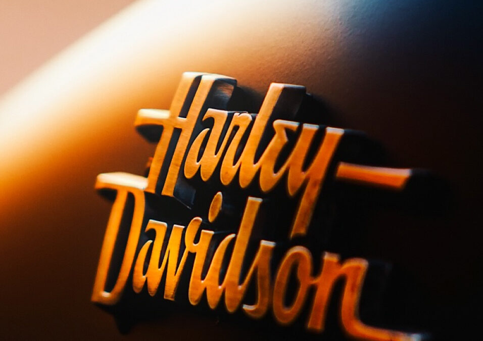 Proin a leo nec ante molestie accumsan